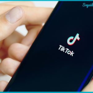 Seguidores TikTok