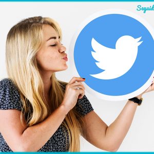 Seguidores Twitter